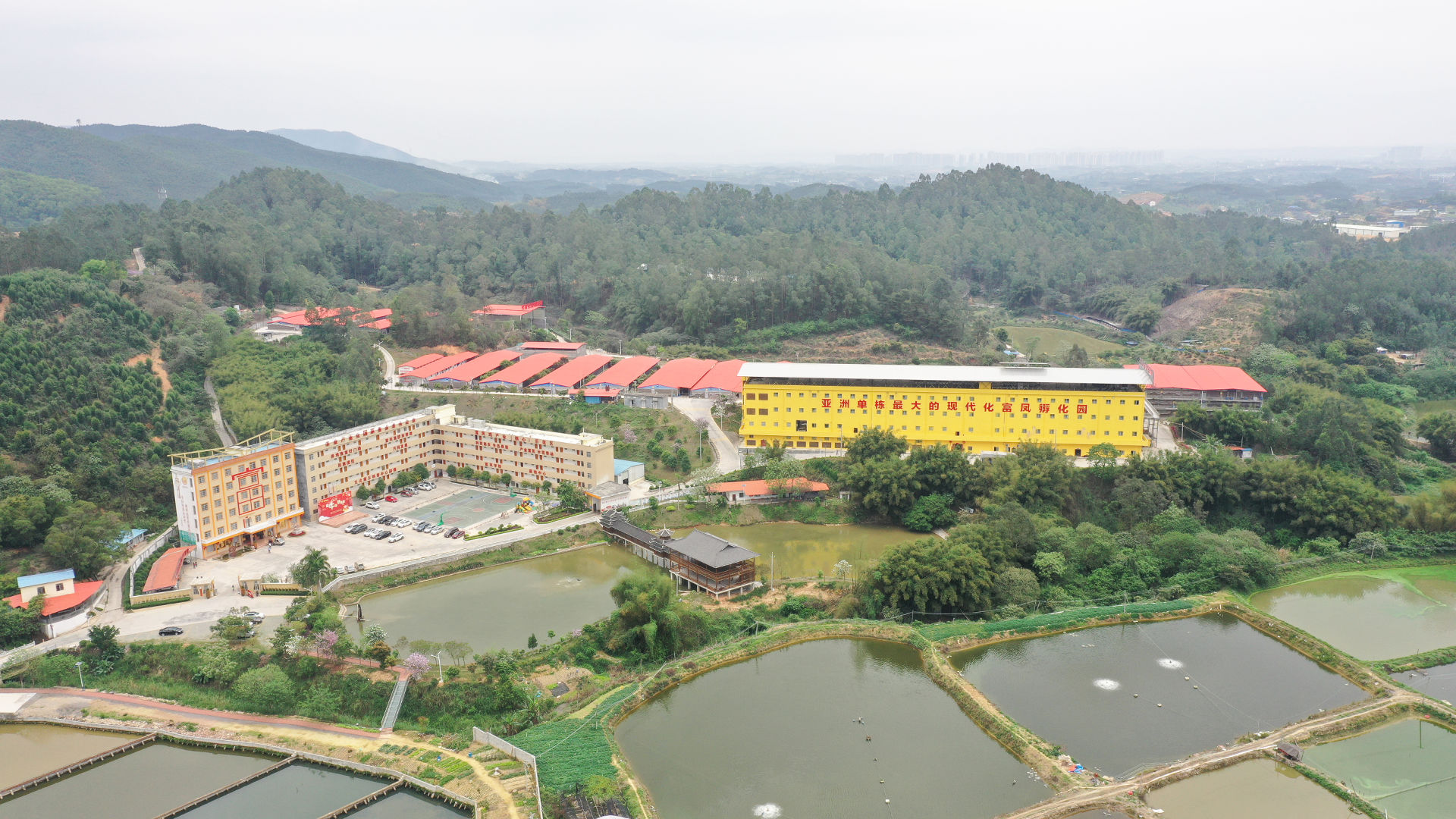 丝瓜视频污版黄色软件下载