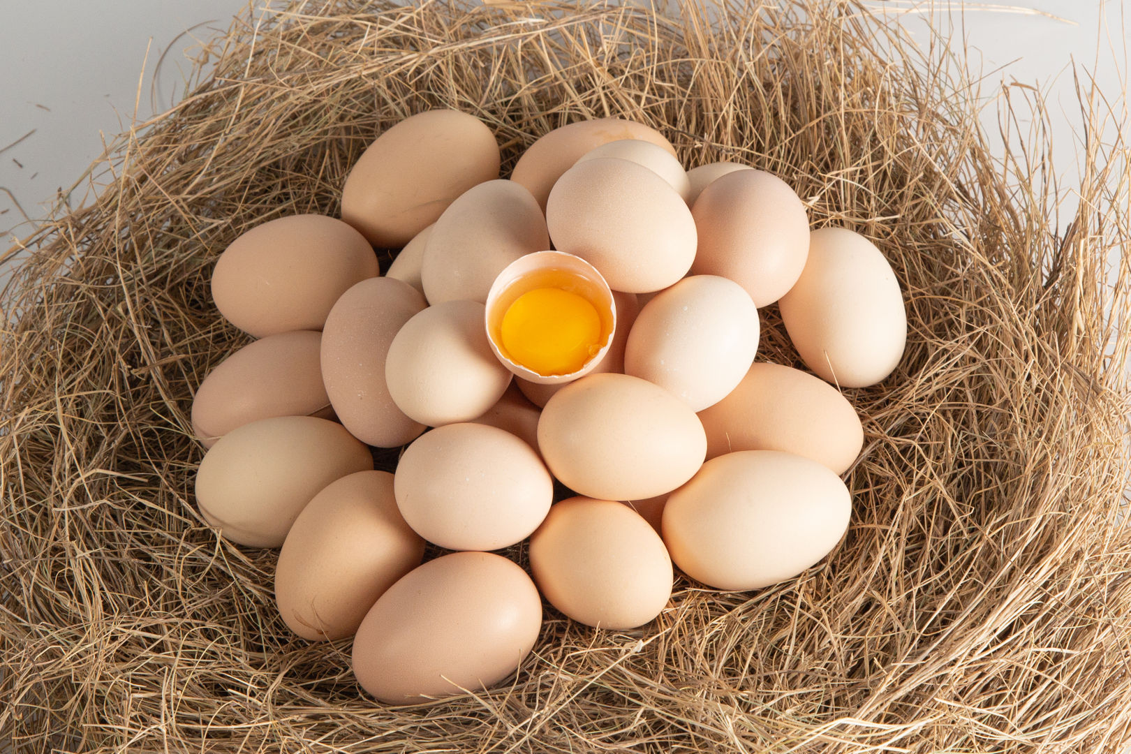 丝瓜视频污污污在线观看名称