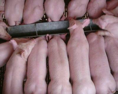 丝瓜视频污污污在线观看名称